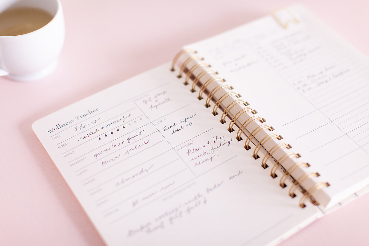 NEW! Self-Care Planner V1