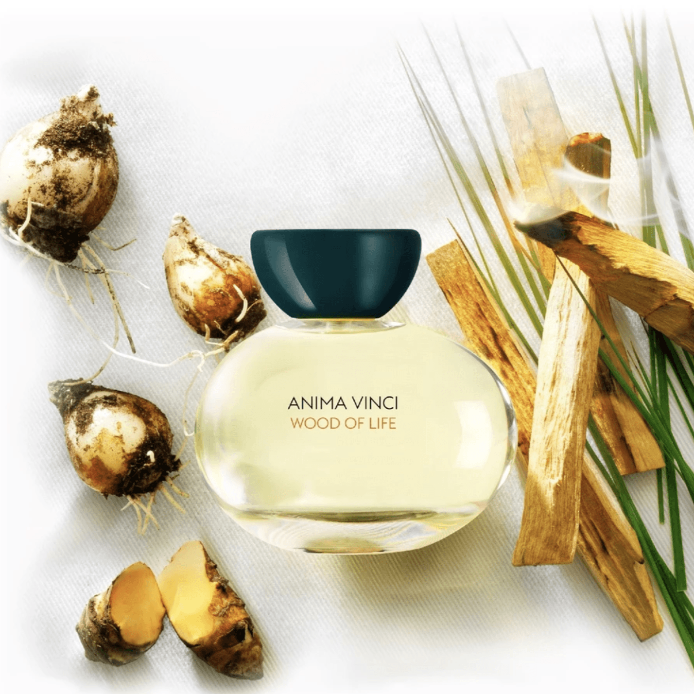 Anima Vinci Wood of Life Eau de Parfum